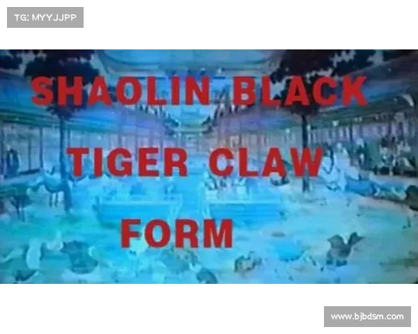 传统武术数字博物馆全面上线 3D扫描百套经典拳法呈现武艺精粹 传统武术数字博物馆全面上线 3D扫描百套经典拳法呈现武艺精粹
